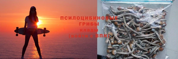 стаф Беломорск